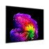 LG OLED TV OLED77G61LW, 77", 4K UHD, 120 Hz